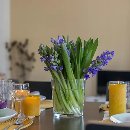 Delightful Family At Only 50 Meters From The Beach 公寓